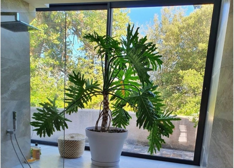 rénovation avec pose de menuiseries en aluminium près d' Allauch